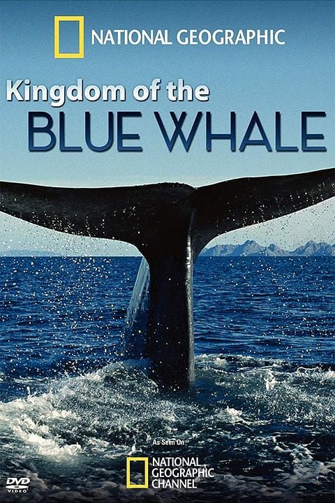 Kingdom Of The Blue Whale : Póster