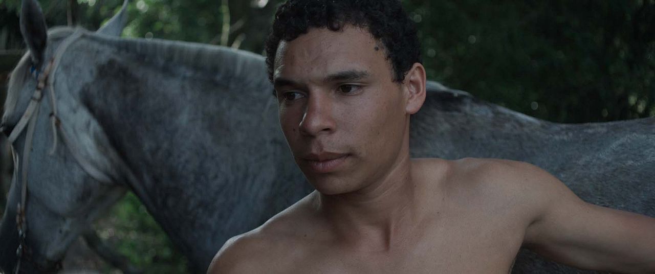 El empleado y el patrón : Foto