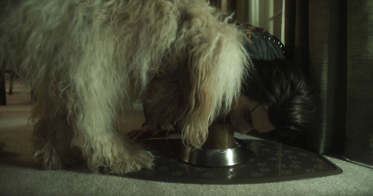 Nuevo sabor cereza : Foto