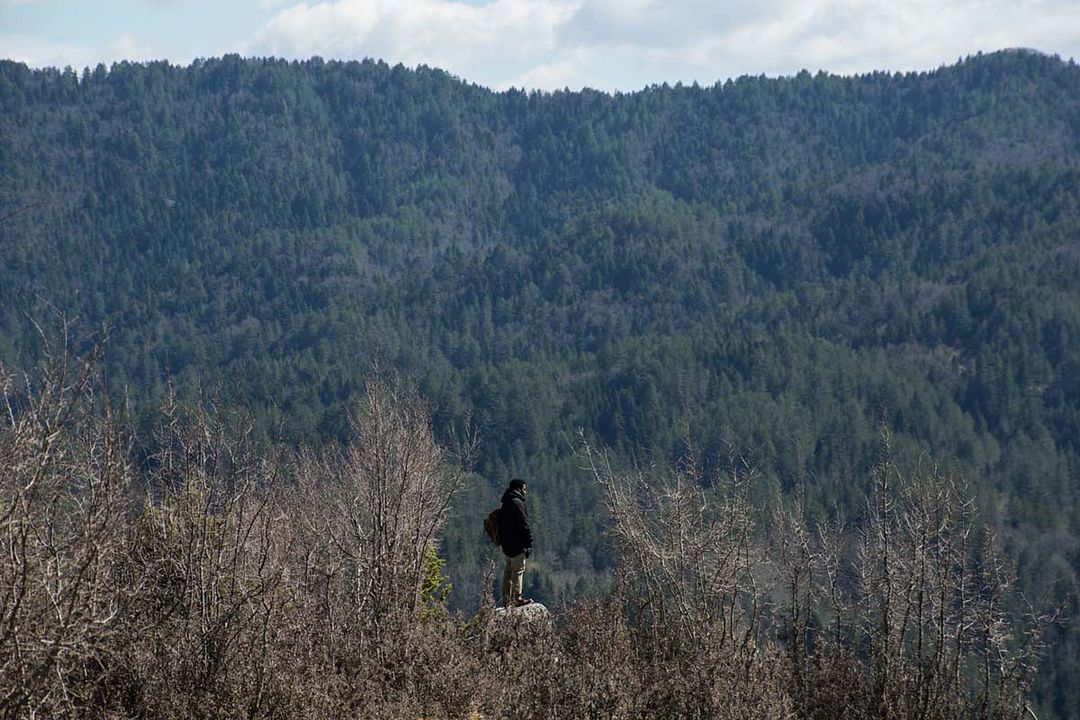 Beckett : Foto John David Washington