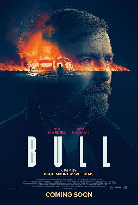 Bull : Póster