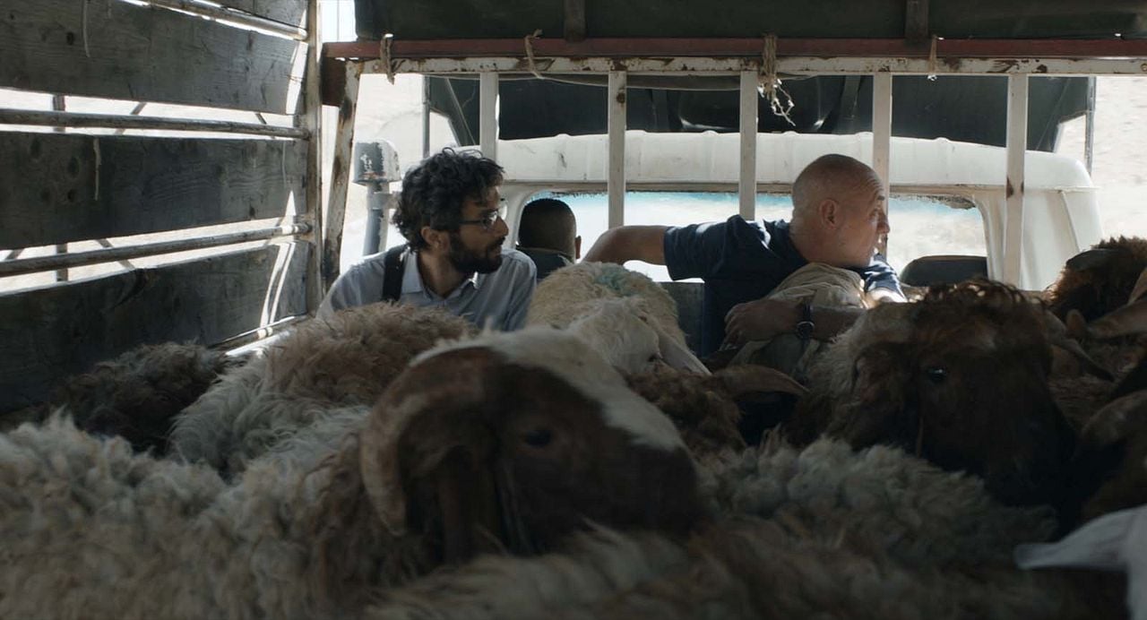 Foto Ziad Bakri, David Field