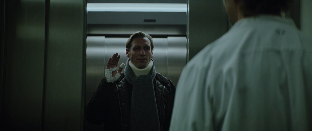 Dogs Don’t Wear Pants : Foto