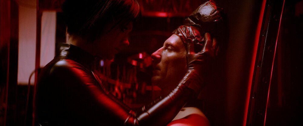 Dogs Don’t Wear Pants : Foto