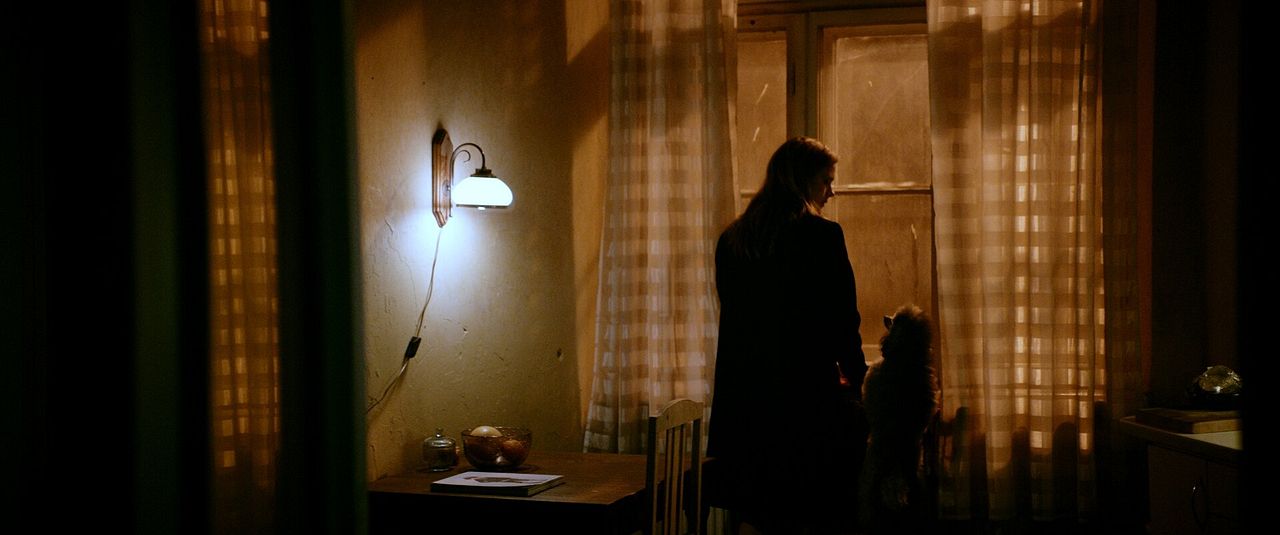 Dogs Don’t Wear Pants : Foto