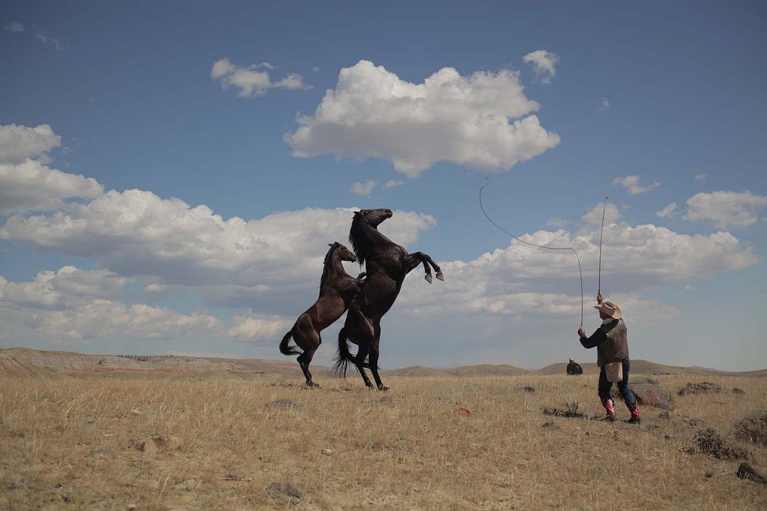 Siempre quise ser cowboy : Foto