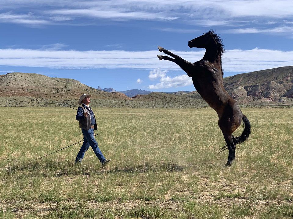 Siempre quise ser cowboy : Foto