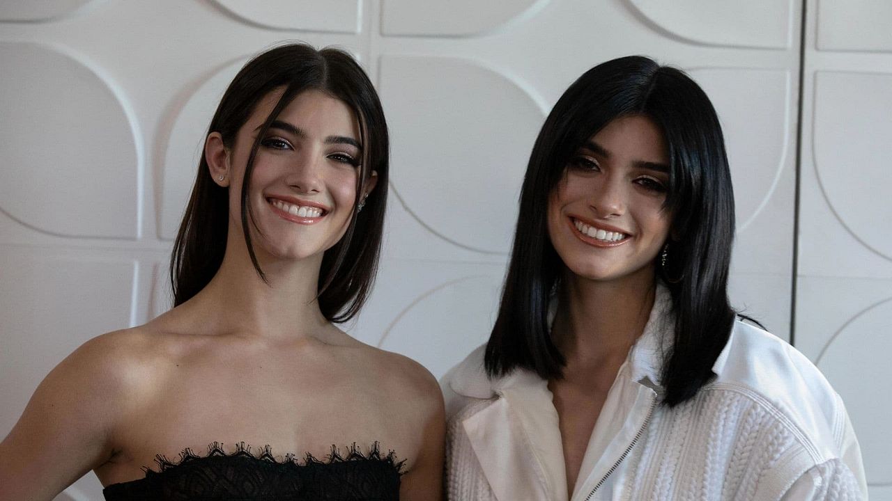 The D'Amelio Show : Póster