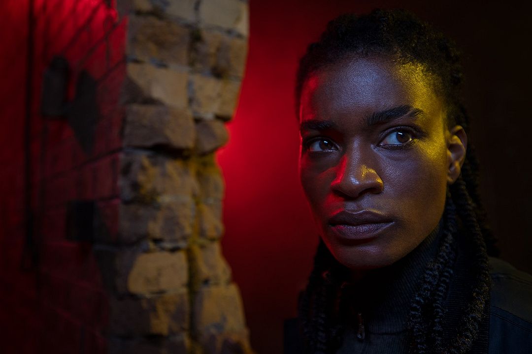 Y: The Last Man : Foto