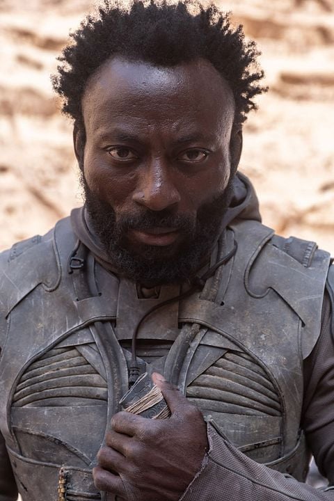 Duna : Foto Babs Olusanmokun