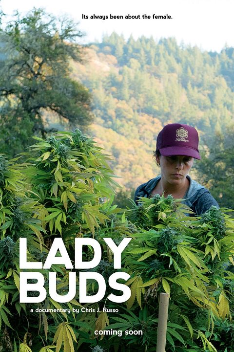 Lady Buds : Póster