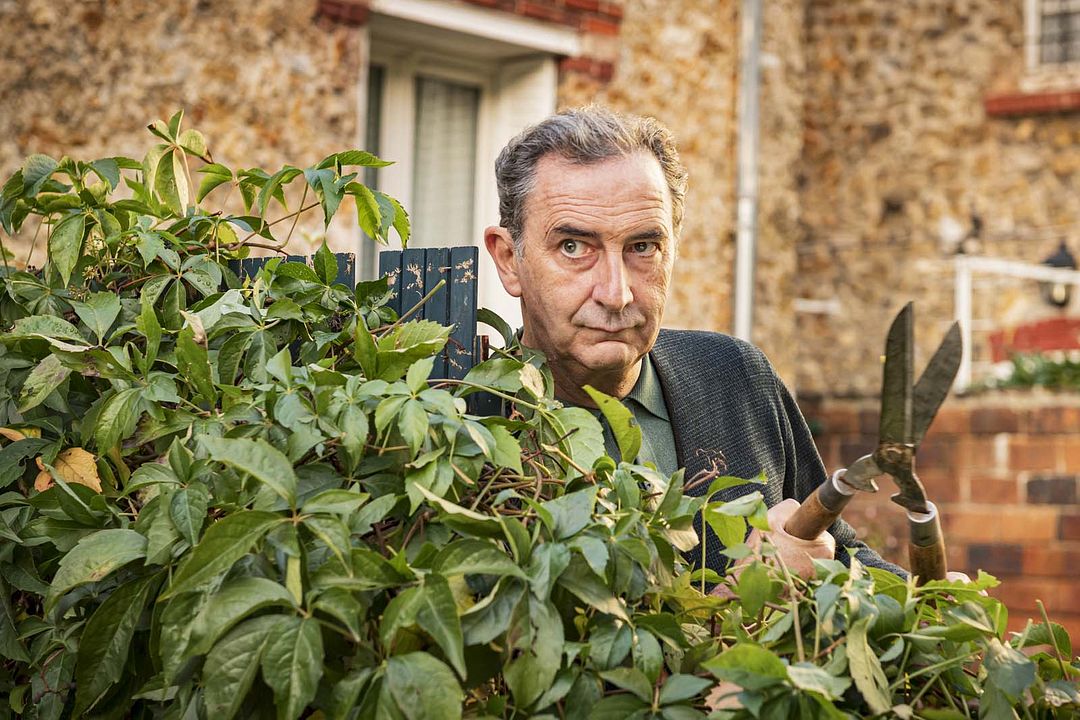 Little Nicholas' Treasure : Foto