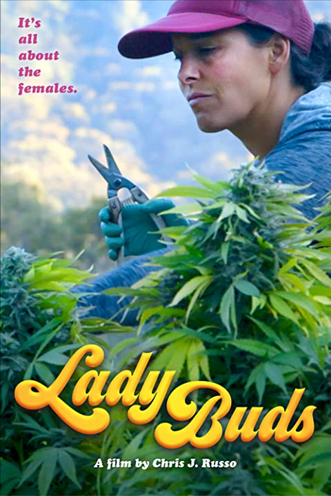 Lady Buds : Póster