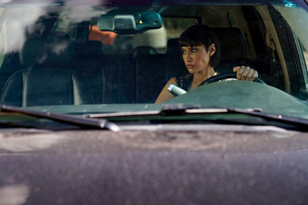 Foto Janina Gavankar