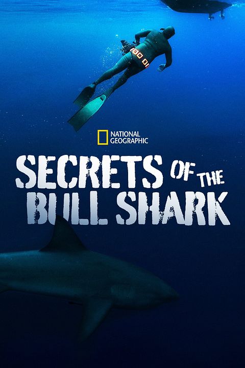 Secrets of the Bull Shark : Póster