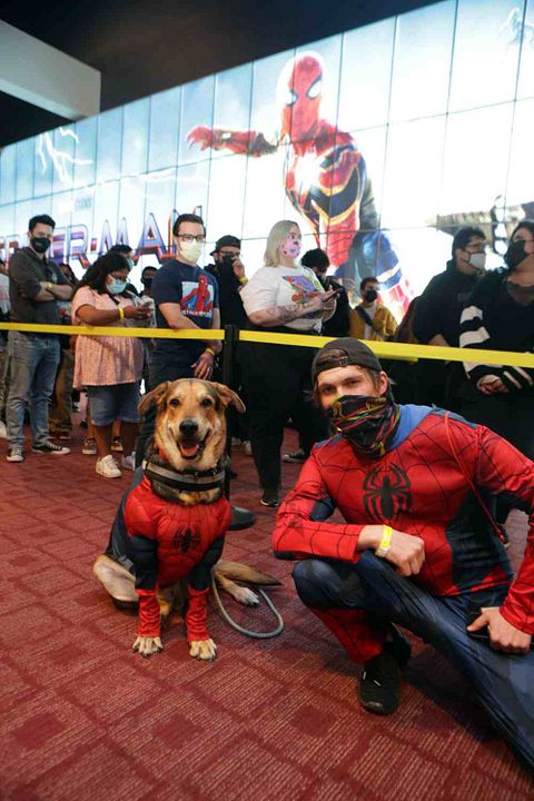 Spider-Man: Sin Camino a Casa : Cobertura de revista