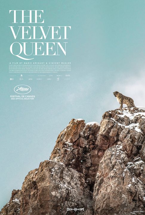 El leopardo de las nieves : Póster