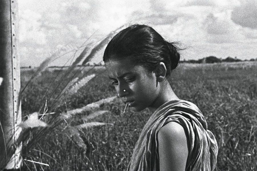 Pather Panchali : Foto