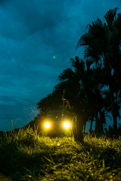 Are You Lonesome Tonight? : Foto