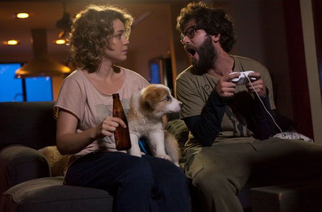 Arbusto sin perro : Foto