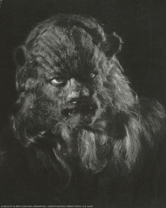 La bella y la bestia : Foto