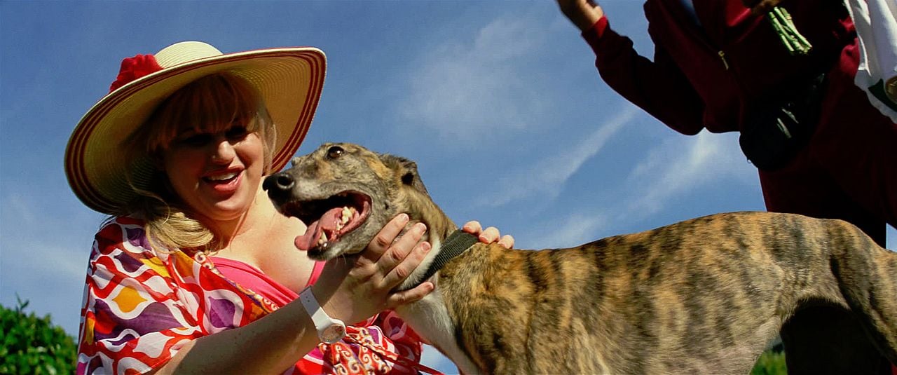 Sangre, sudor y gloria : Foto Rebel Wilson