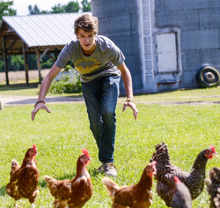 Bajo el domo : Foto Colin Ford