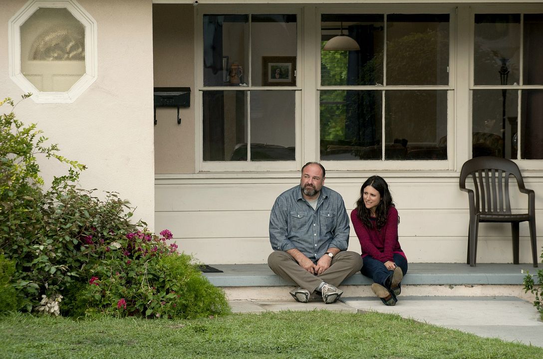 Una segunda oportunidad : Foto Julia Louis-Dreyfus, James Gandolfini