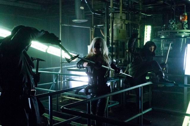 Arrow : Póster Caity Lotz