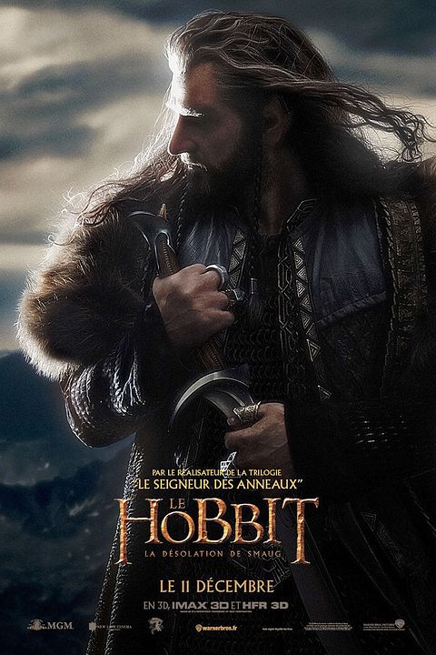 El Hobbit: La desolación de Smaug : Póster