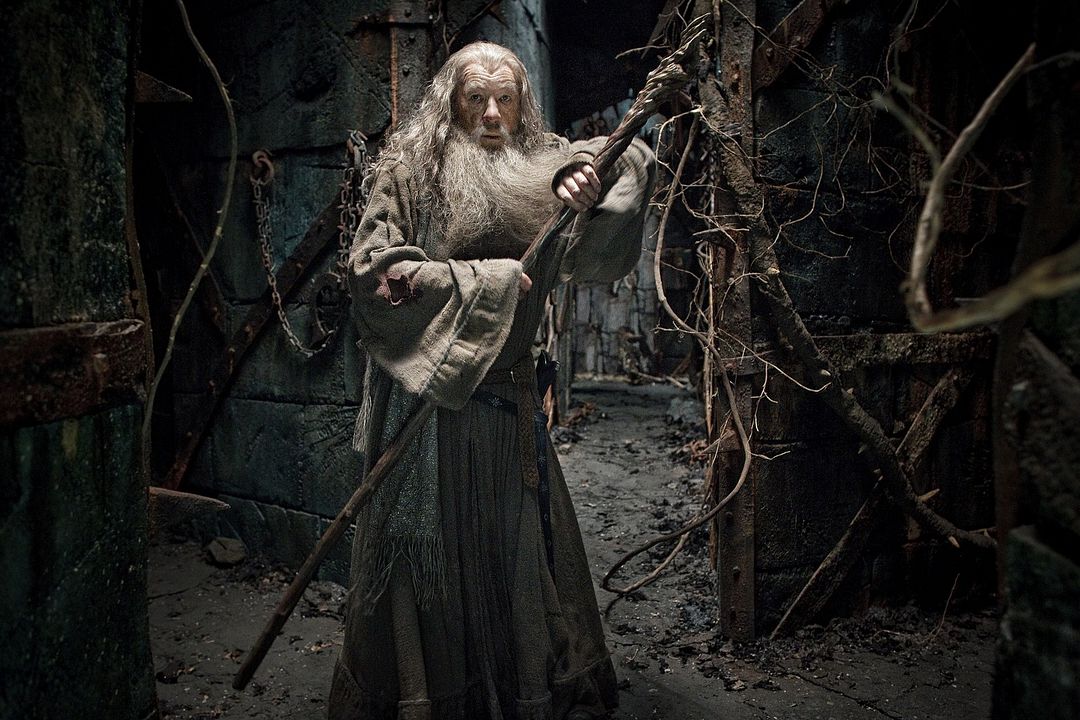 El Hobbit: La desolación de Smaug : Foto Ian McKellen