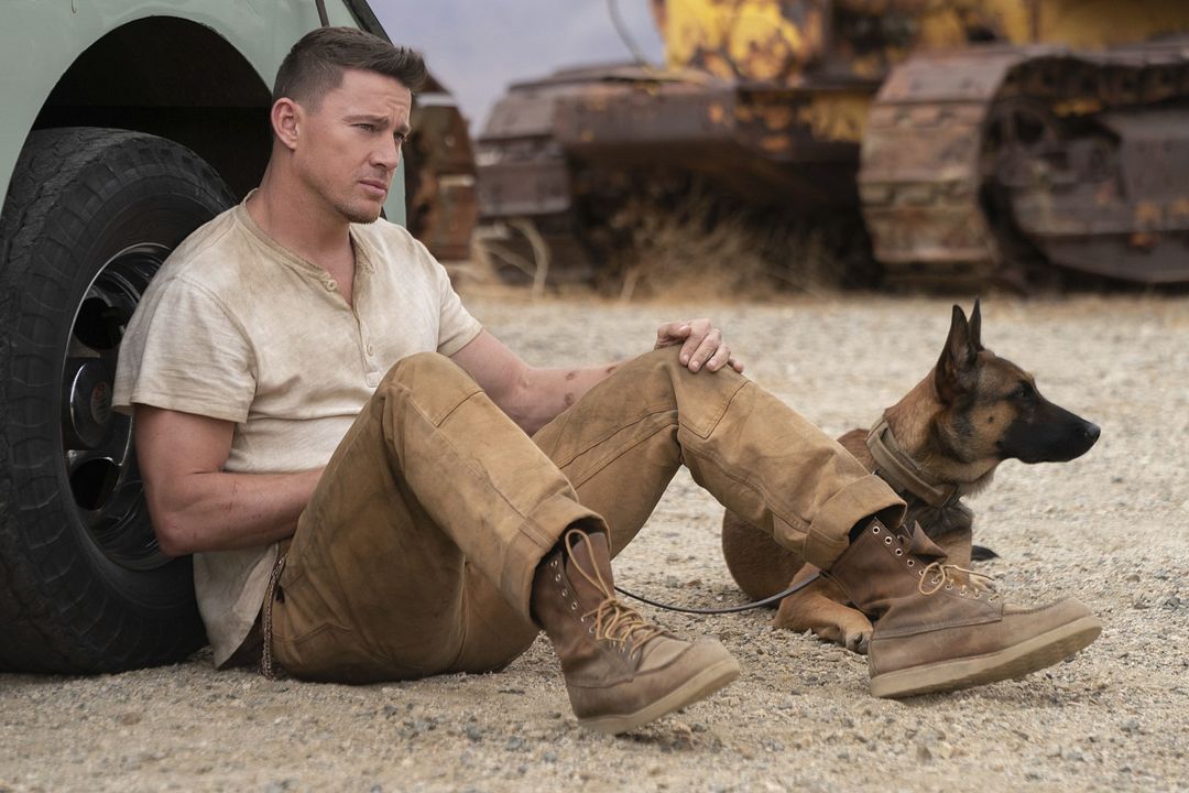 Dog: Un viaje salvaje : Foto Channing Tatum
