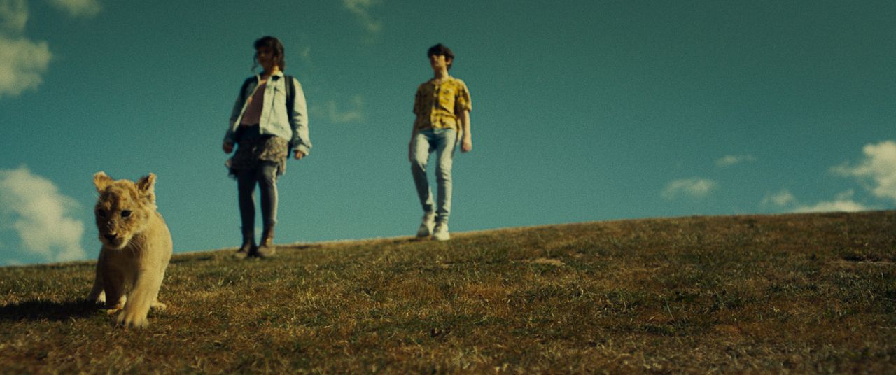 King: Regreso A Casa : Foto Lou Lambrecht, Gérard Darmon