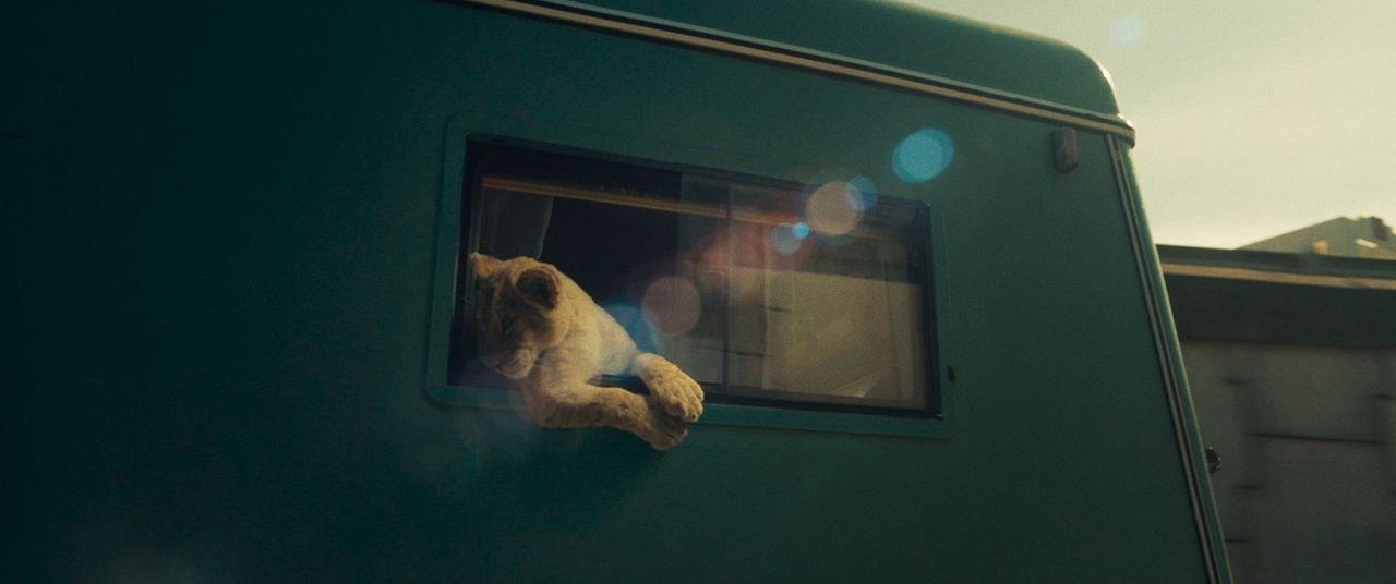 King: Regreso A Casa : Foto