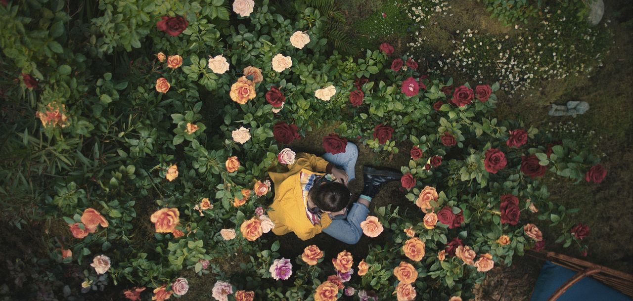 El cielo está en cualquier lugar : Foto