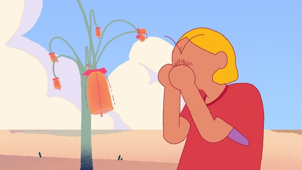 Mido y los instrumales : Foto