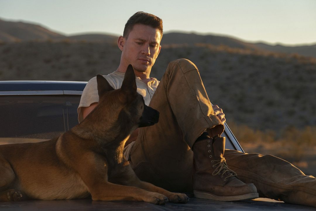Dog: Un viaje salvaje : Foto Channing Tatum