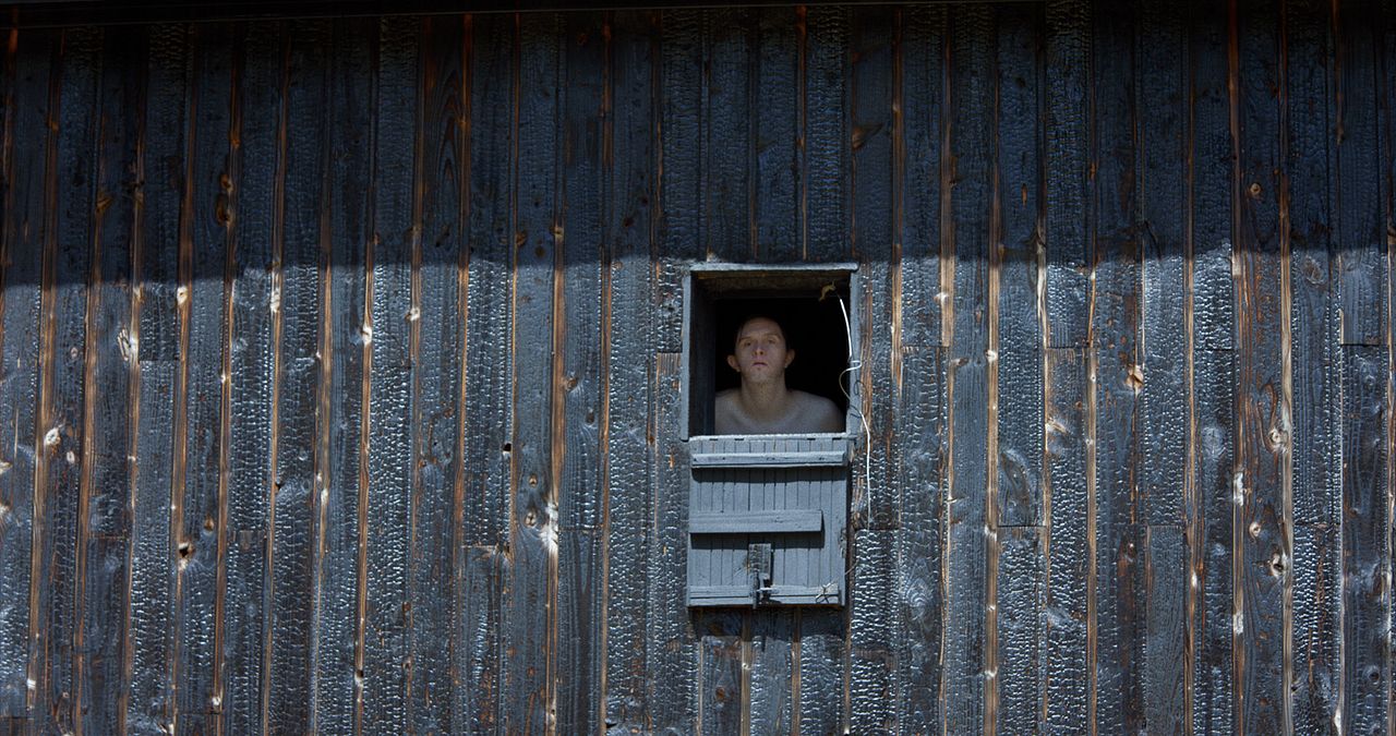 Theo and the Metamorphosis : Foto