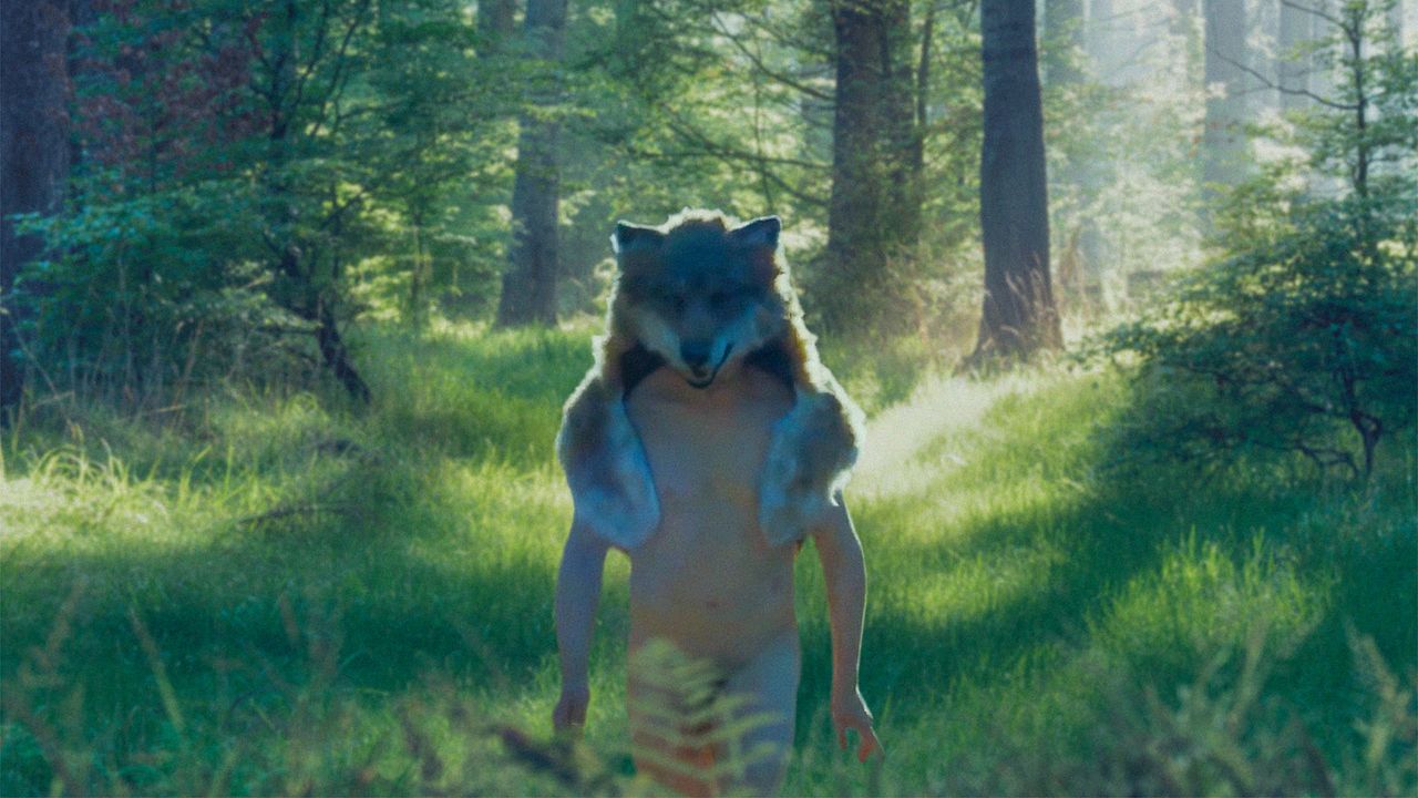 Theo and the Metamorphosis : Foto