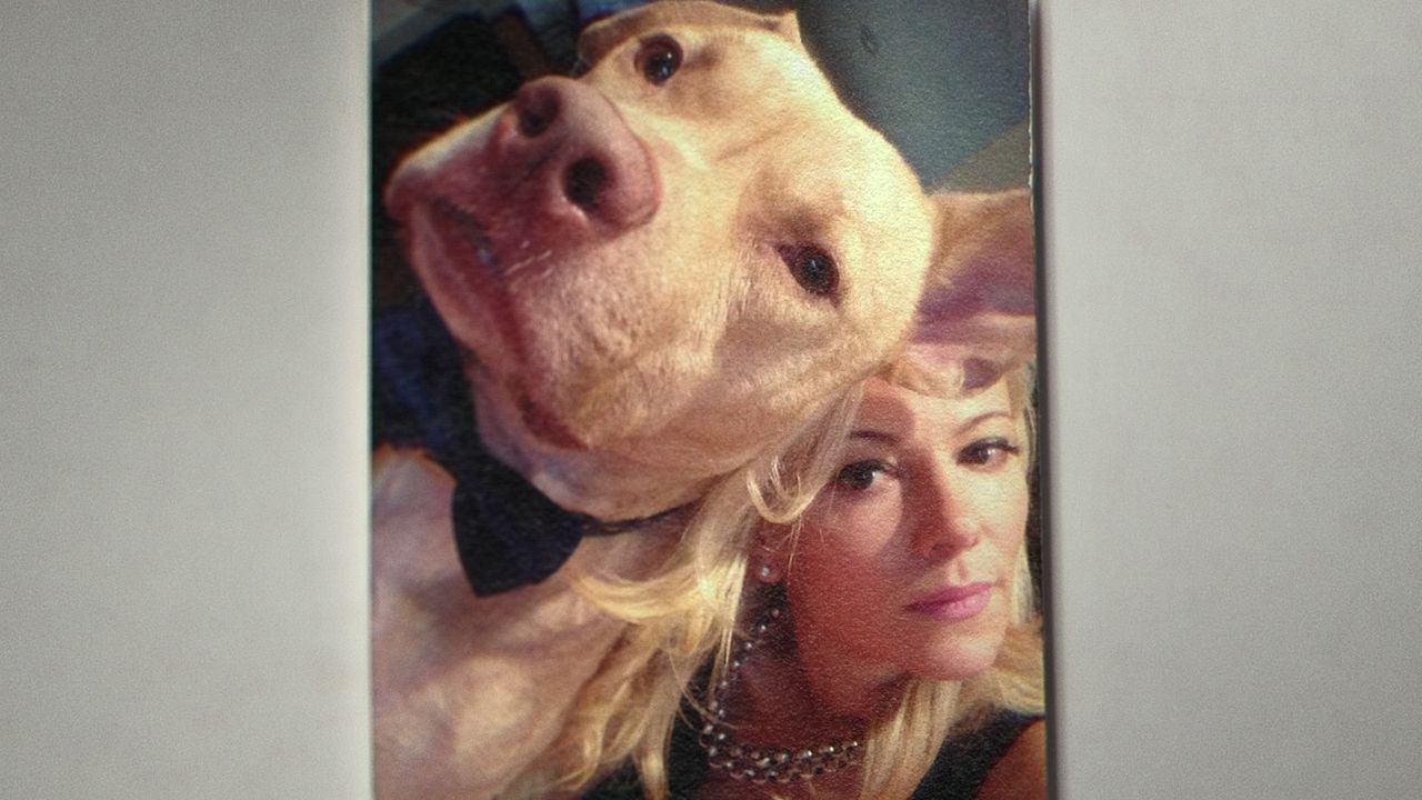 Bad Vegan: Fama, fraudes y fugas : Foto