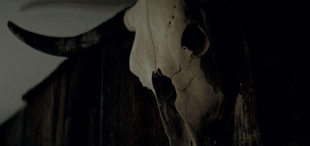 Demoniaca : Foto