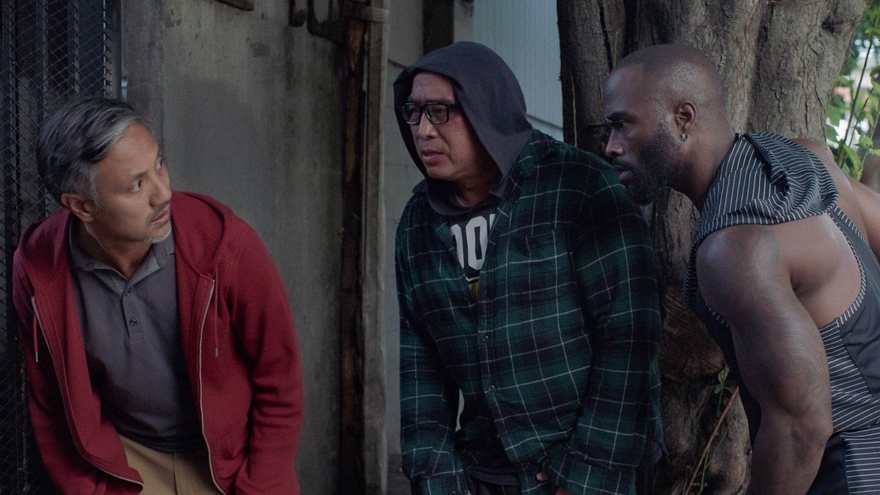 The Paper Tigers : Foto