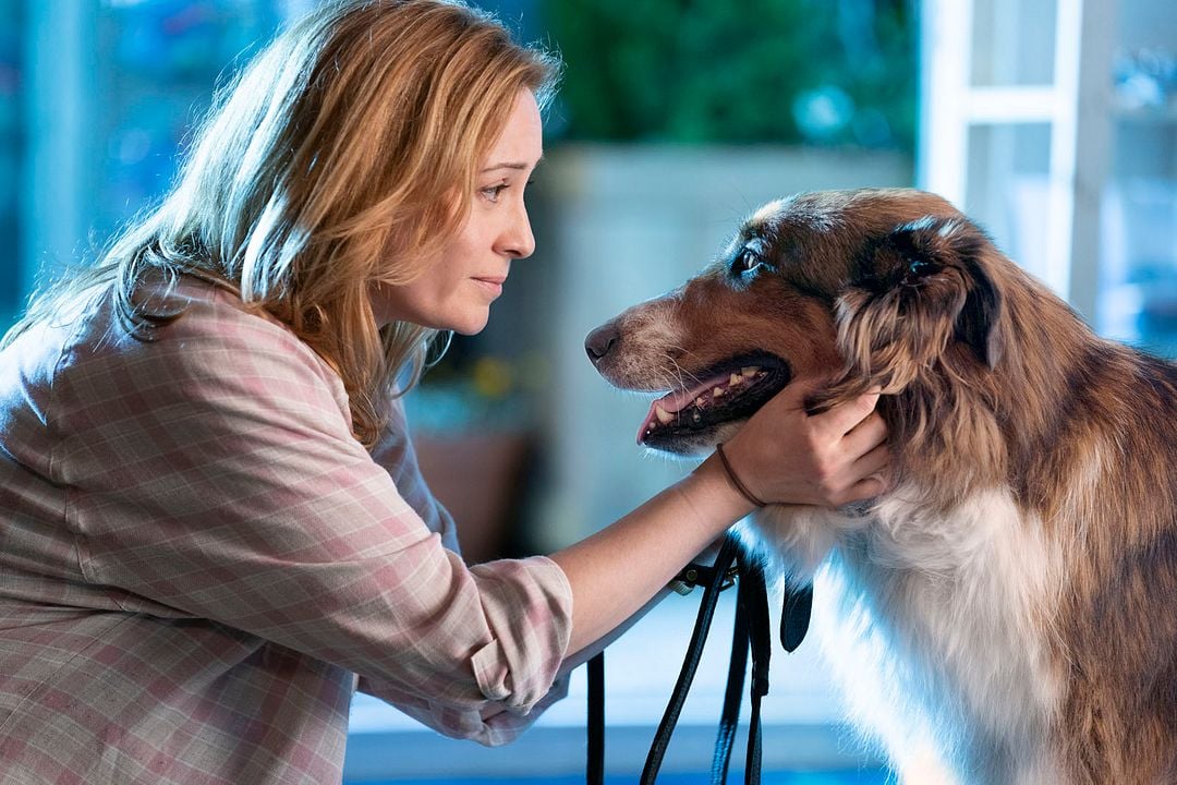 El rescate de Ruby : Foto