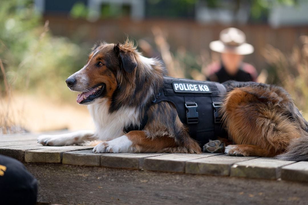 El rescate de Ruby : Foto