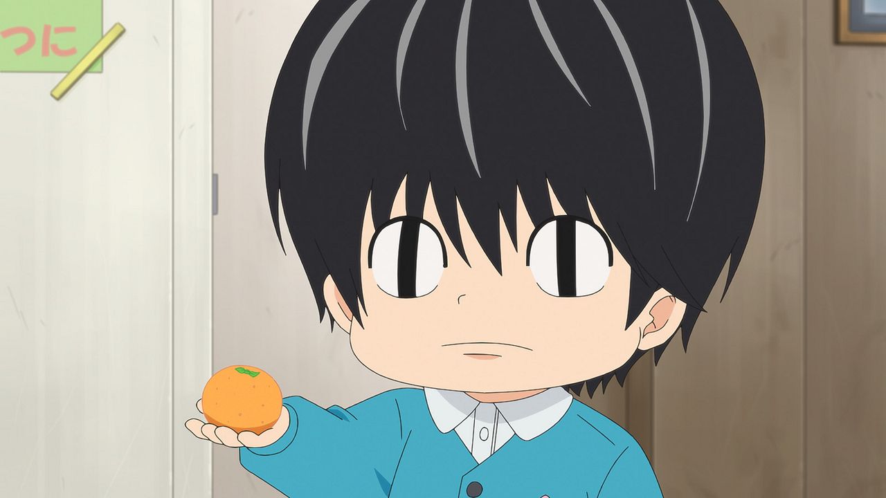 KOTARO VIVE SOLO : Foto