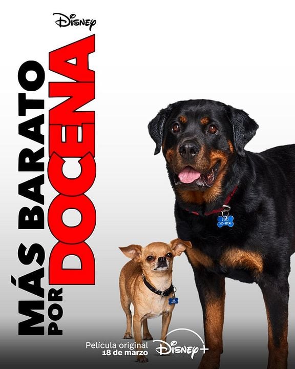 Más barato por docena : Póster