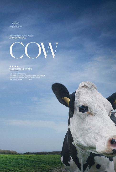 Cow : Póster