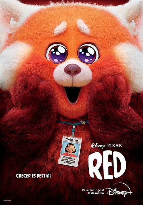 Abrazando al panda: Detrás de Red : Póster