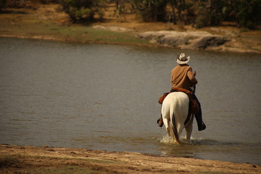 Al Límite De La Venganza : Foto