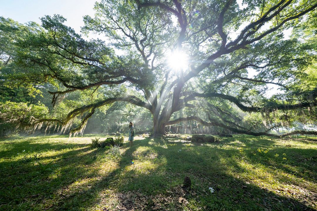 La chica salvaje : Foto